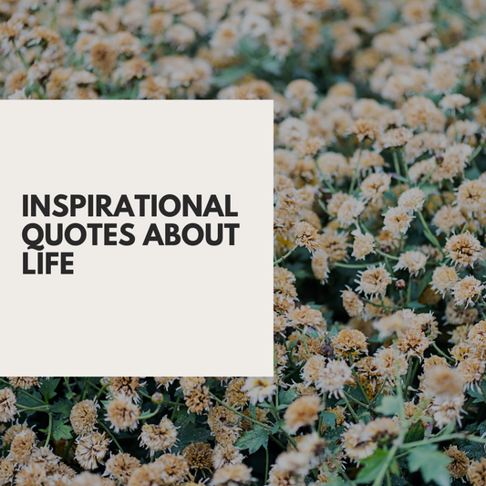 Inspirational Quotes About Life