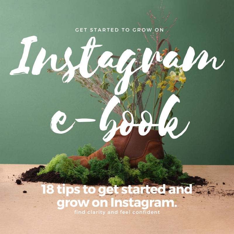 Get started to Grow on Instagram ebook - Lisa Buscomb 