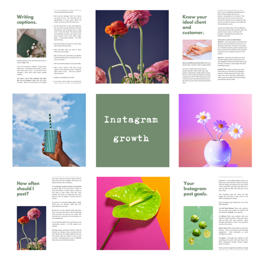 Get started to Grow on Instagram ebook - Lisa Buscomb 